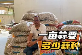 种一亩蒜需要多少斤蒜种，你的蒜种留够了没有视频封面