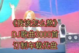 0075DJ歌曲3000首，订制车载优盘