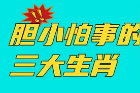 胆小怕事的，五大生肖！视频封面