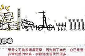 老外看，中国汉字的演变发展过程视频封面