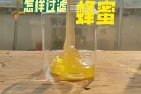 怎样过滤蜂蜜 怎样把蜂巢里面的蜂蜜过滤出来。#蜜蜂养殖 #我的农村生活 #新农人计划2025视频封面