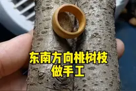 桃木手工制作 随手一做，一个小手工#纯手工雕刻 #手艺 #手工 @DOU+小助手视频封面