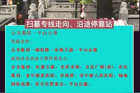 清明扫墓专线即将开通！路线这么走……#安徽蚌埠#清明#扫墓视频封面