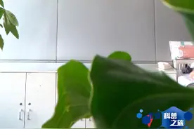 #北京科普之旅 脑电波竟然可以控制赛车！在中科院自动化所看最新“黑科技”视频封面
