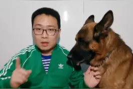 杭州发现豹出没，豹比虎更凶猛！ #豹  #杭州疑似有豹子出没视频封面