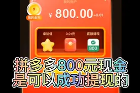 #中视频伙伴计划 拼多多的800元现金提现是可以成功的视频封面