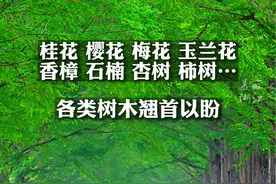 “我为亚运种棵树”杭州41个点位各类树木，等你来认建认养啦~#浙江dou知道 （来源： 杭州市园林文物局）视频封面