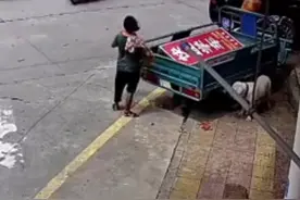 被狗饭碗激发拾荒本能，#大妈捡废品当着狗的面拿走其铁饭碗，狗：喂？110吗，有人抢了我的饭碗视频封面
