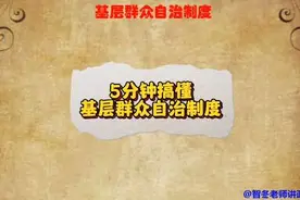 5分钟搞懂基层群众自治制度到底是什么？#智冬老师讲政治视频封面