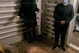 男子用氰化物毒死狗，780元卖给人吃获刑一年视频封面
