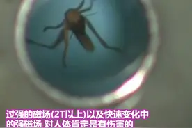 强磁场对人体有伤害吗？视频封面