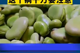 不少人都还不知道自己有蚕豆病，这个是先天遗传，家里有孩子尤其是男孩子的家长一定注意！ #蚕豆病 #遗传 #预防视频封面
