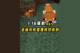 我的世界1.16联机465：老迪搞定狼和狐狸，成双成对只差4种动物 #我的世界视频封面