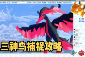 【冠之雪原】三神鸟捕捉攻略#精灵宝可梦剑盾 #宝可梦剑盾视频封面