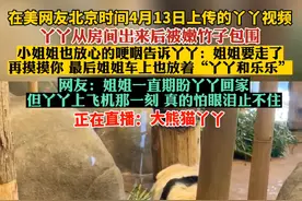 丫丫回国细节披露，由美国联邦快递送达上海浦东国际机场#大熊猫丫丫视频封面