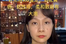 轩尼诗XO鉴定视频封面