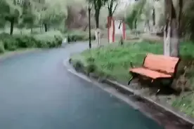 晨跑打卡！跑步听歌，真人真唱！🎶❤️🌹🌹🌹视频封面