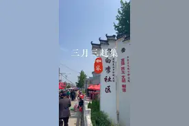 阔别三年的庙会又回来了，人山人海到处人气很足，很有氛围#逛庙会 #传统文化 #抖出你的家乡 #乡村 #三月三视频封面