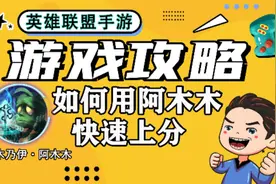LOL手游，性价比最高打野，阿木木，上分技巧教学视频封面