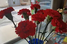 母亲之花叫康乃馨，它的花语是尊敬，魅力和宽容。视频封面