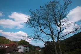 远风知我意，吹梦到云边。视频封面