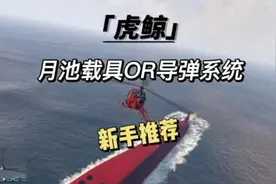 新手推荐《虎鲸》资产，你没有玩过的玩法。月池载具/麻雀