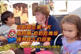 回荷兰第一天接了阿嘛和奶奶一起晚餐,带狗娃回家,暑假结束了视频封面