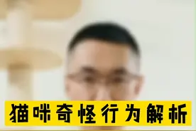 猫咪为什么有的时候，会被臭到张开嘴巴？ #萌宠出道计划  #萌宠  #养猫养猫 视频封面