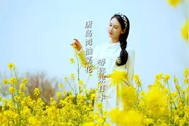 青岛的油菜花都开好了，快来打卡青岛春天的限定浪漫吧～#青岛视频封面