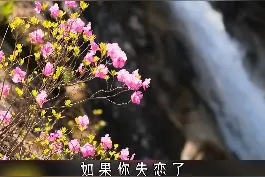 #宋词 三首#蝶恋花 的对决，您更喜欢哪一首？#国学诗词 #萌知计划 @抖音青少年 #古诗词视频封面