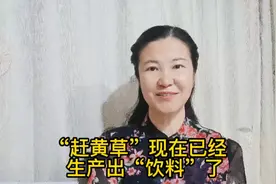 #古蔺#历史文化#地方特色  赶黄草属药食同源，是护肝之宝贝视频封面
