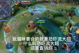 新赛季猫咪最强打法视频封面