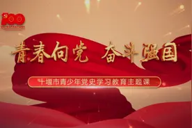 #青春向党奋斗强国 十堰市青少年党史学习教育主题课——上篇视频封面
