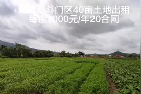 珠海市斗门区40亩农业土地出租，只能种菜种果类的种植项目。视频封面