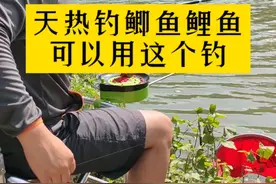 野钓鲫鱼鲤鱼可以用这个挂钩小麦！简单好用！#钓鱼 #饵料 #挂钩小麦 #鲫鱼饵料 #钓鱼饵料 @DOU+小助手 视频封面