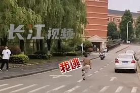 贵州一高校内出现一只只会啄男生的鸟，知道原因后….我们都要好好保护小动物呀！#校园生活 视频封面