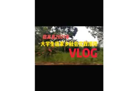 【返家乡社会实践 助力乡村振兴】为临高这群青年点赞！视频封面