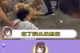 小男孩：狭骨头以令金毛！！#机智 #金毛 #真实视频封面