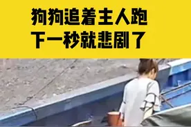 8月27日江苏南通，狗狗开心的追着主人跑，下一秒没刹住脚直接掉水里，还好男主人反应快视频封面