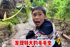 那位大神来普及一下这是什么虫子！#农村孩子的乐趣 #熊孩子