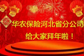 华农保险河北分公司给大家拜年啦！祝大家财源滚滚、幸福安康视频封面