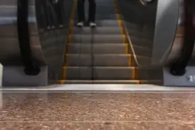 不是所有的感情会有结果视频封面