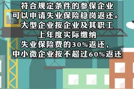 减负稳岗扩就业！四川的政策红包来啦~#四川延续返还失业补助金 视频封面