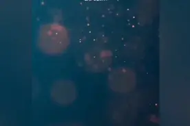假如我不曾爱你…你的世界我不曾参与视频封面