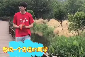 程序员用数学公式写情书，这样的浪漫你羡慕吗？视频封面