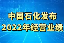 中国石化发布2022年经营业绩。#权威发布 #业绩 #能源视频封面