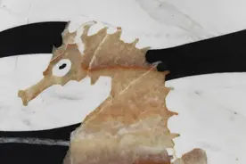 封心戒爱弃情人视频封面