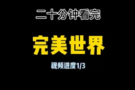 二十分钟看完《完美世界》视频进度1，你懂我意思吧！！视频封面