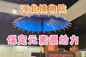 河北博物院，那些令人傲骄的保定元素，说明古城保定不是白叫的视频封面
