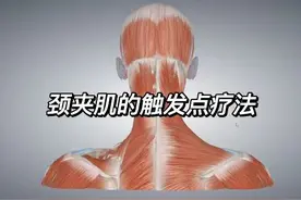 颈夹肌解剖及触发点疗法#3dbody解剖 #运动康复 #体态纠正视频封面